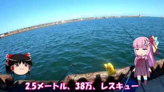 人気の 海釣り 動画 734本 ニコニコ動画