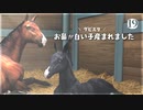 愛馬を育てる ダービースタリオン｜実況プレイ Part19
