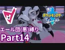 ポケモン剣ではエール団(悪)のポケモン縛りでやっていくPart14
