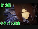 ｢TALES OF ARIES｣ 底辺から地上へそして・・・『シスロディアで出会った男に襲われる』#25　ネタバレ注意