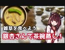 【思い切って野草を食べてみよう】#36 銀杏さんで「茶碗蒸し」！
