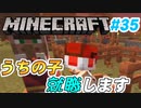 【Minecraft】初心者と一緒にのんびりマイクラ生活#35【女性２人実況】