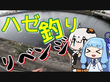 延べ竿振り回すおじさんを実況する紲星と琴葉【VOICEROIDフィッシング】