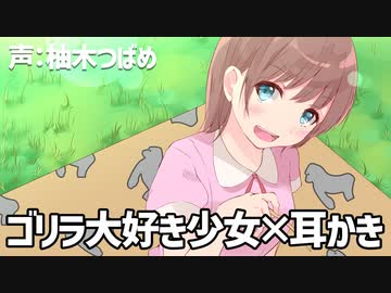 ゴリラ大好き少女に指やその辺で拾ったワラ、バナナの皮で耳かきされて癒されるASMR
