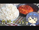 【アウトドア料理】約1.3kgのハンバーグ定食【つづみの何処でもキッチン】
