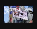 新宿東口3D猫[無重力編]フルバージョン