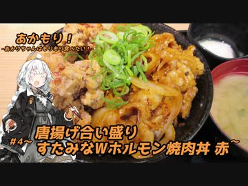 あかもり！#4～唐揚げ合い盛りすたみなWホルモン焼肉丼 赤～【伝説のすた丼屋】