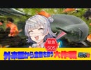 【第2回原石祭】緊急SOS！外来種から金魚をすくえ！！【小春六花実況プレイ】