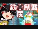 ゆっくり霊夢が征く！DSのNewスーパーマリオブラザーズ Part１１【ゆっくり実況】