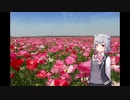 【小春六花AI】赤いスイートピー【UST配布】