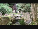 古刹の風景　龍泉山　三滝寺(Mitaki dera)　