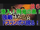 【実況プレイ】【討伐】【採集】モンスターハンター　♯６