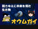 ゆっくり解説その１７【弱さゆえに未来を得た生き物・オウムガイ】