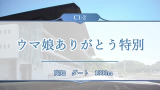 【ウマ娘風】ウマ娘ありがとう特別(高知・2021)