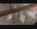 ハエをガスガンで駆除する Extinguish a fly with a gas