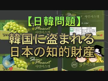 【ゆっくり解説】韓国に盗まれる日本の知的財産