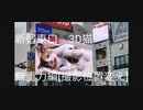 新宿東口3D猫　無重力編[撮影位置変え]