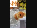 【店員さん神アシスト取り×2】ほぺぴたアチャモ&ヒトカゲをお出迎え！【クレーンゲーム】
