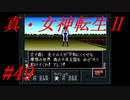 【ゆっくり実況】 真・女神転生Ⅱ #49（SFC版）