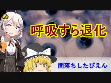 世界一退化した動物[VOICEROID世界一解説]