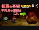 「ねがいごと」を守る冒険へ【マリオストーリー】＃19