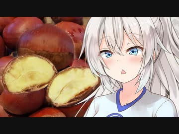 あかりの晩酌 四杯目「秋の味覚 茹で栗とアサヒ生ビールマルエフ」