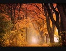 パブリックドメインの静止画をCapCutで動かしてみるテスト＆注意点