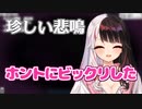 めったにしない悲鳴をあげてしまう夜見れな