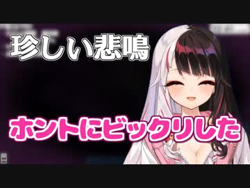 めったにしない悲鳴をあげてしまう夜見れな