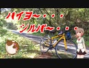 ハイヨー シルバー その２