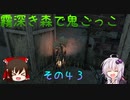 【ゆっくり＆ボイロ】霧深き森で鬼ごっこ　その４３