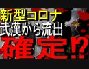 【11分でゆっくり解説】オーストラリアが研究所流出説の決定的証拠を見つけた!?
