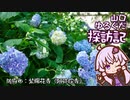 【VOICEROID車載】山口ゆるぐだ探訪記【防府市紫陽花寺】