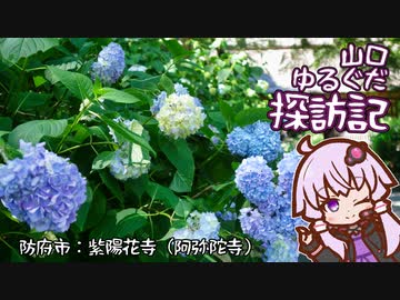 【VOICEROID車載】山口ゆるぐだ探訪記【防府市紫陽花寺】