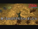 うっかり敵に装備を全部奪われちゃいました♪　ゼルダの伝説スカイウォードソードHD実況プレイPart37