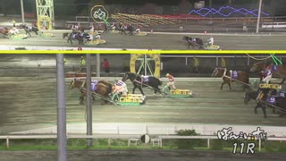 2021年10月3日帯広競馬11R 第15回秋桜賞(3歳OP) サクラヒメ