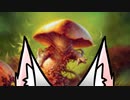 MTGA イタコマジック15