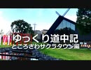 【自転車】ゆっくり道中記 ところざわサクラタウン編