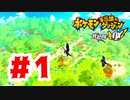 【実況】可愛くなって救助隊をするぞ！【ポケモン不思議のダンジョン 救助隊DX】#1