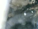 くろおお②５