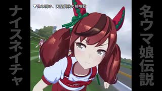 【レースダイジェスト】名ウマ娘伝説　ナイスネイチャ