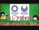 ゆっくり語学解説：ロシア語#28「スポーツをする、遊ぶ」 играть в ...