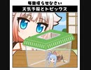 天気予報Topicsまとめ2021/09/29～2021/10/05