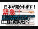 【 緊急！】ひよ散歩【RCEPは日本を滅ぼす】