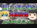 【2000年】香料の原料があふれ出し、慌てて対処するも右目が...【ゆっくり解説】