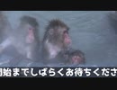 【瀬戸風呂】井原・きずみの瀬戸際ブロードキャスト 第1話　#瀬戸風呂