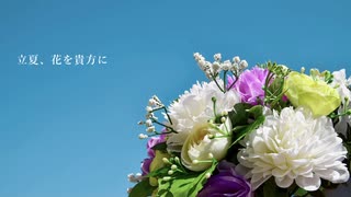 立夏、花を貴方に/そよぎ feat. 初音ミク