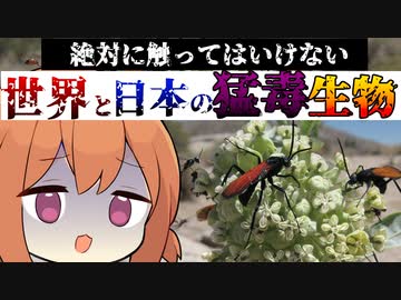 絶対に触ってはいけない世界と日本の猛毒生物【VOICEROID解説】