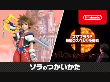 【スマブラSP 最終回】「ソラ(キングダムハーツ)のつかいかた」桜井Dによる最終追加ファイター「ソラ」解説プレイ!【大乱闘スマッシュブラザーズ SPECIAL】