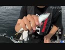 旅部46『 旅部46』東京湾船釣り4